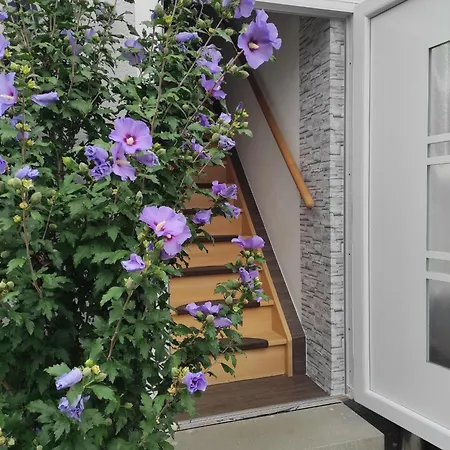 Apartment Ferien- Monteurwohnung Bis 7 Personen *
