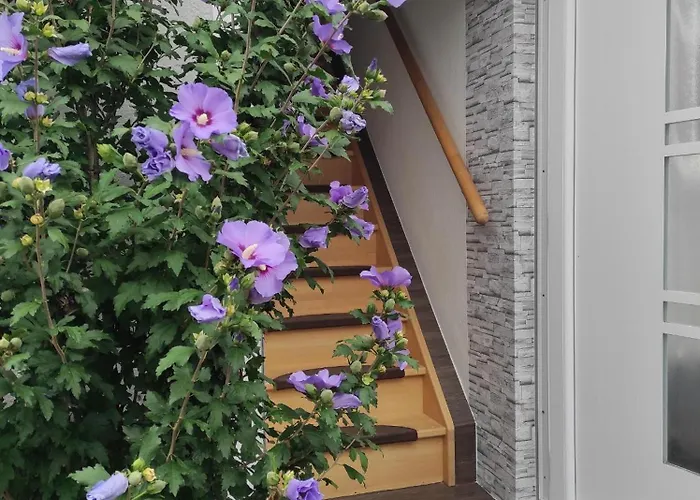 Apartment Ferien- Monteurwohnung Bis 6 Personen *